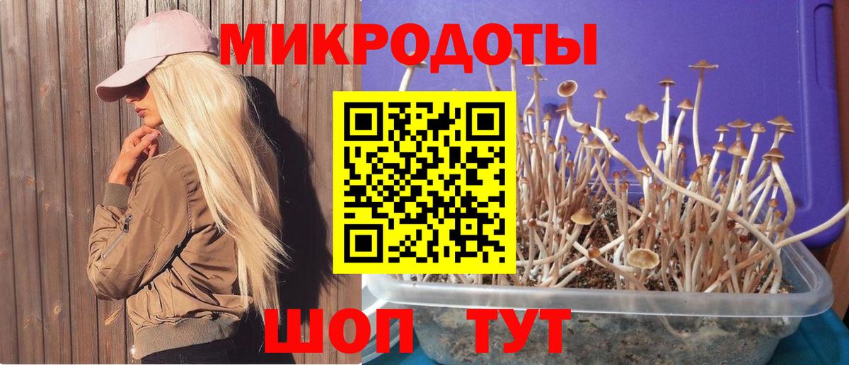 Псилоцибиновые грибы мухоморы Назрань