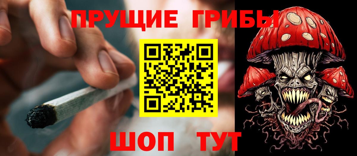 Галлюциногенные грибы Cubensis  Вход с VPN  где продают   Назрань 