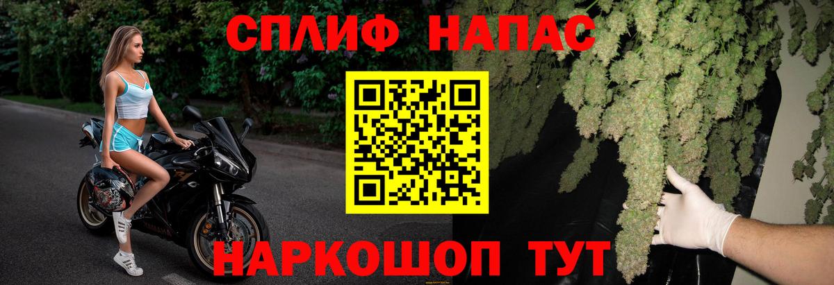 Бошки Шишки MAZAR Назрань